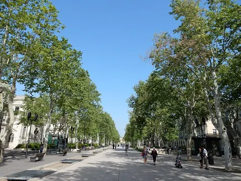 Avenue Feuchères