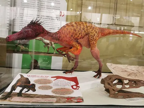 Muséum d'histoire naturelle